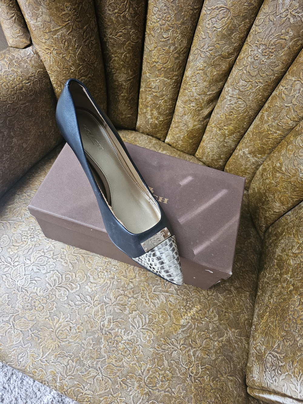 Coach Black Leather Pointed Toe Flat with Snakeskin Cap